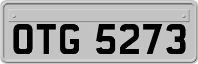 OTG5273