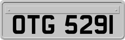 OTG5291