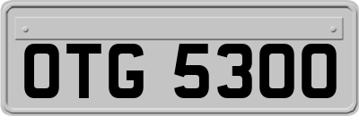 OTG5300