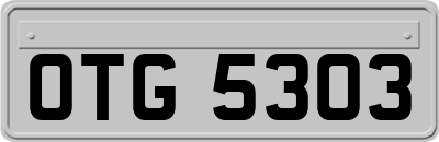 OTG5303