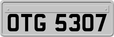 OTG5307