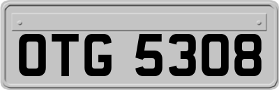 OTG5308