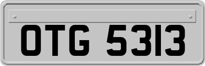 OTG5313