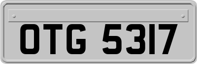 OTG5317