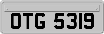 OTG5319