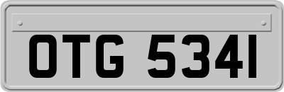 OTG5341