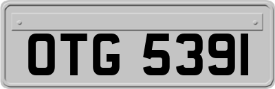 OTG5391
