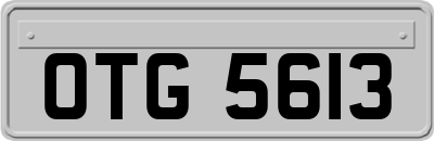 OTG5613
