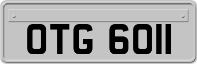 OTG6011
