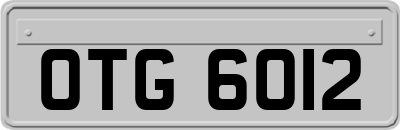 OTG6012
