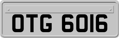 OTG6016