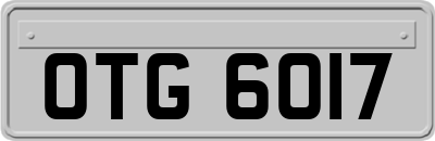 OTG6017