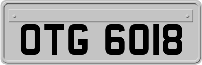 OTG6018