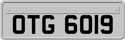OTG6019