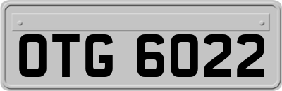 OTG6022