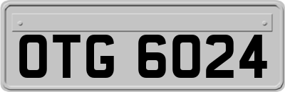 OTG6024