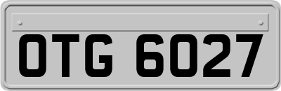OTG6027