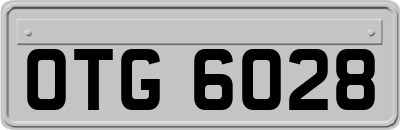 OTG6028