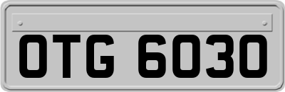 OTG6030