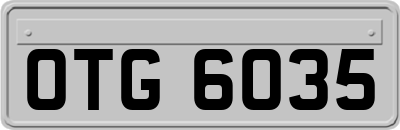 OTG6035
