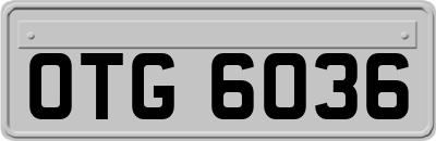 OTG6036