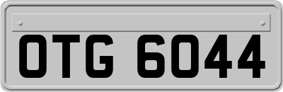 OTG6044