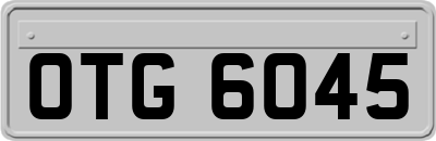 OTG6045