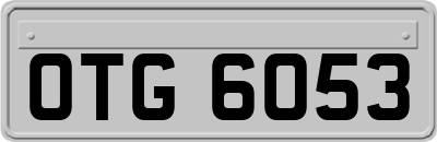 OTG6053