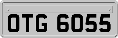OTG6055