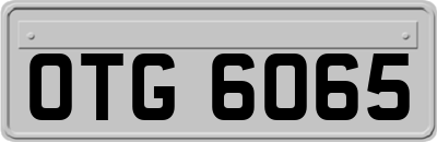 OTG6065