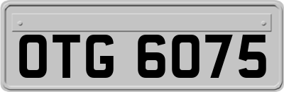 OTG6075