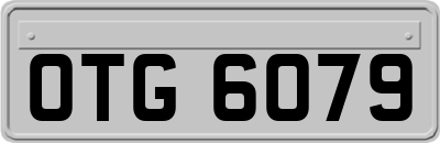OTG6079