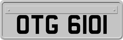 OTG6101