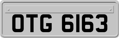 OTG6163