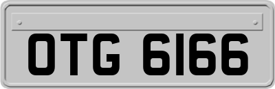 OTG6166