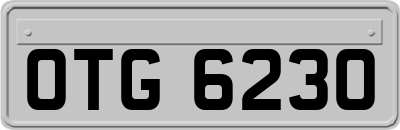 OTG6230