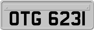 OTG6231