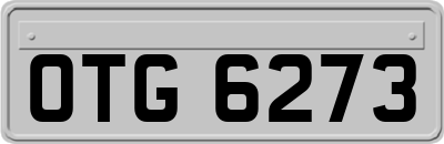 OTG6273