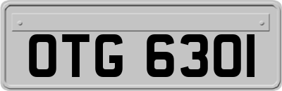 OTG6301
