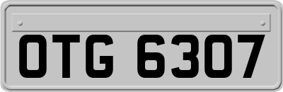 OTG6307