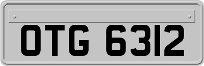 OTG6312