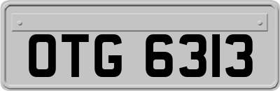 OTG6313