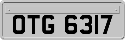 OTG6317