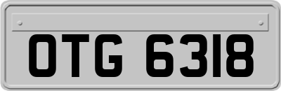 OTG6318