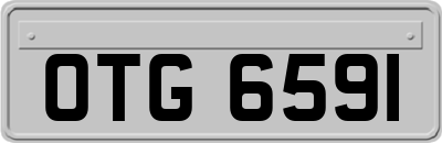 OTG6591