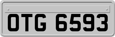 OTG6593