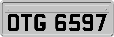OTG6597