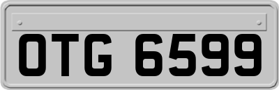 OTG6599
