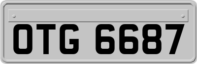 OTG6687