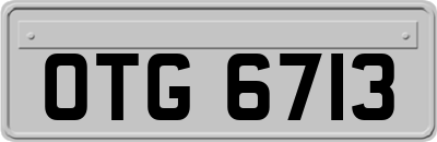 OTG6713